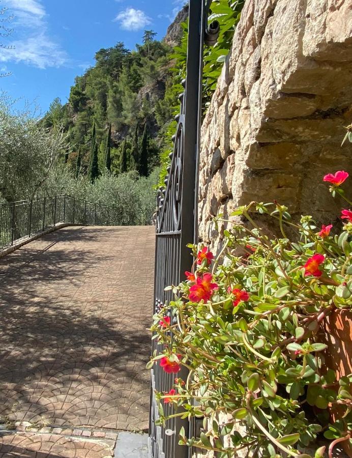 Villa Gianna Terrazza Limone sul Garda Zewnętrze zdjęcie